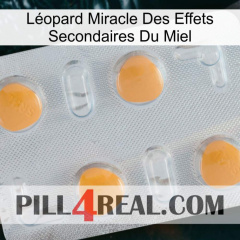 Léopard Miracle Des Effets Secondaires Du Miel 24